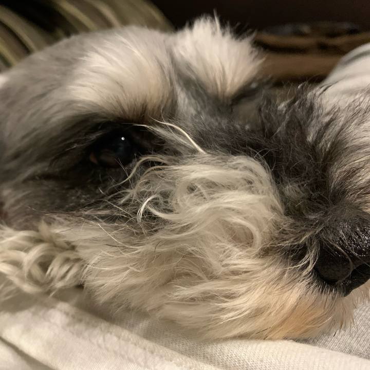 527a1f49 a141 4a53 ab1a 68ecfd9b8afe 1624016288202