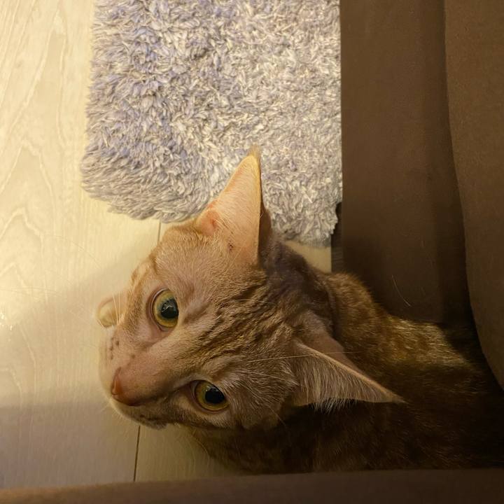 527a20da f7cd 4ce7 863b c1a83f213ea1 1629295855853