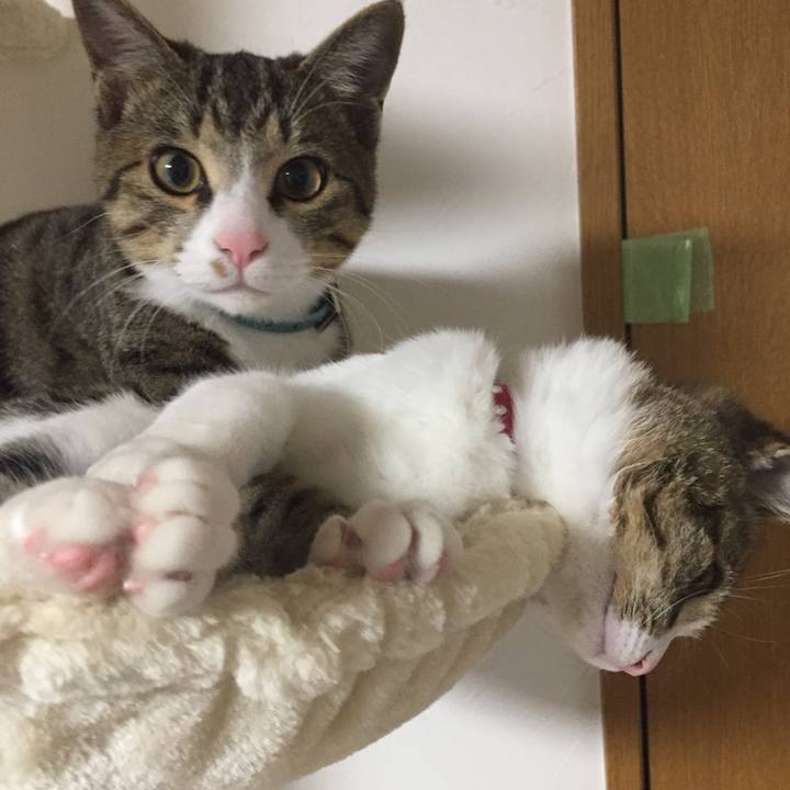 527a2147 127f 43ba 935a d1e95a2b570d 1659220560029