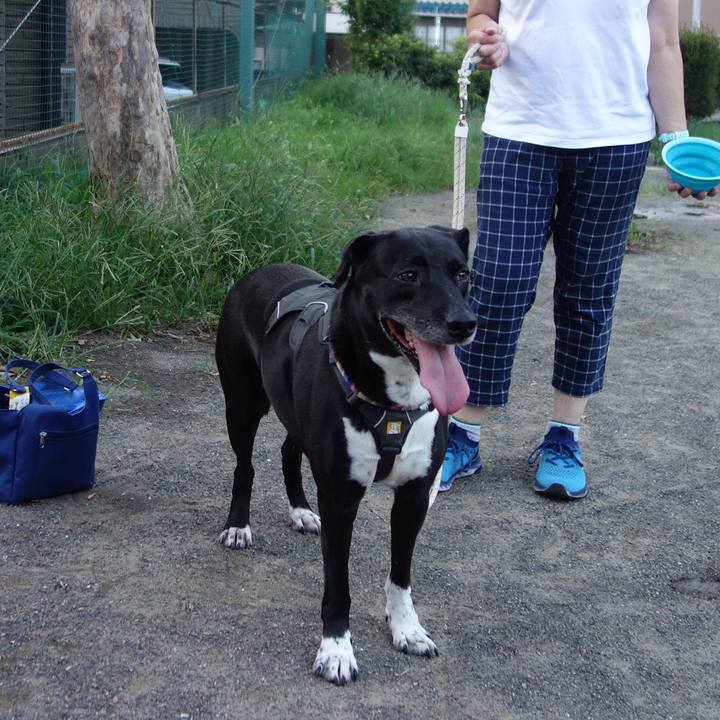 527a3786 6bba 45a1 b371 2a6b40ceae29 1658488288951