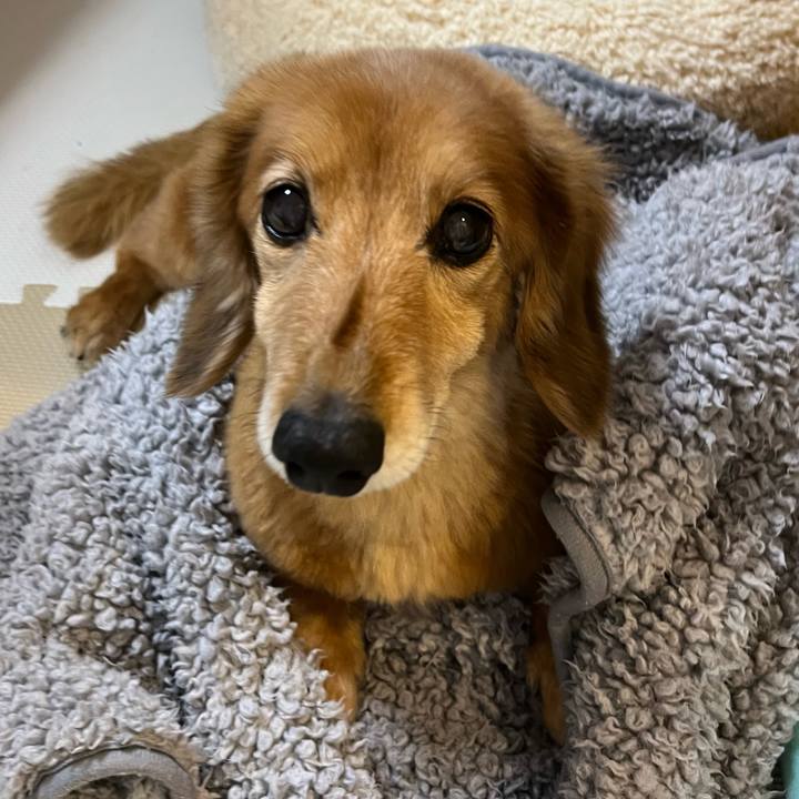 527a3b23 eded 4084 bb17 e64d8c8d2771 1643205520993