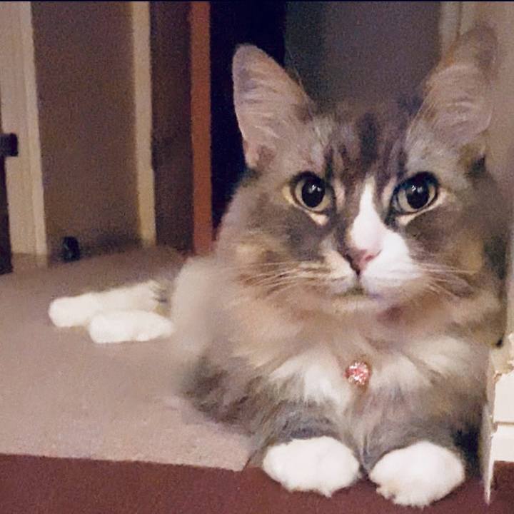 527a43a4 2a3e 4054 af3c 96208be82823 1757950725324