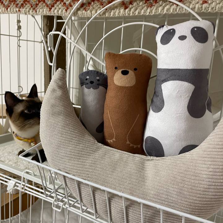 527a5c52 fbdf 41c1 b09b 772260c3f9c8 1724097520110