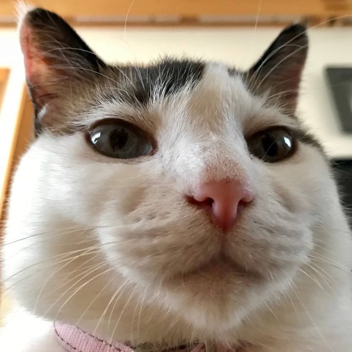 527a8034 a8ae 492f bb09 d4e6d449d54e 1532920396619