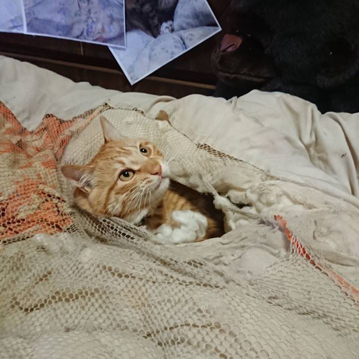 527a9587 4ec2 418a b3e3 3037a246f8af 1648417252372