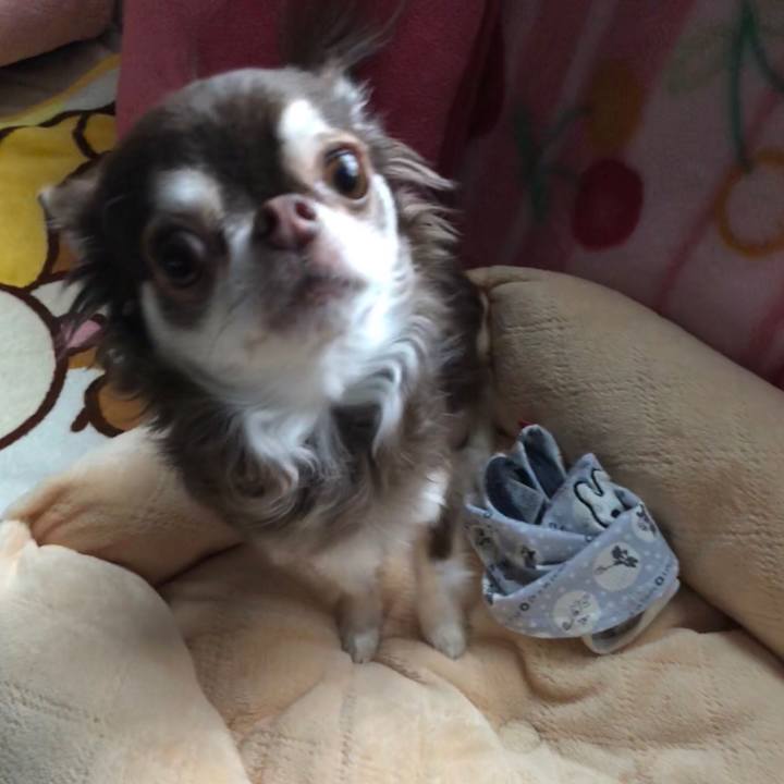 527a9a63 9795 4767 b23c f96713623859 1514685040174