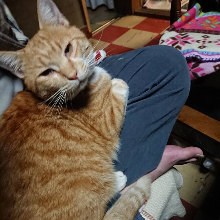 527b42b6 7fdb 4900 b50b 4590d8ef5a51 1573638901446