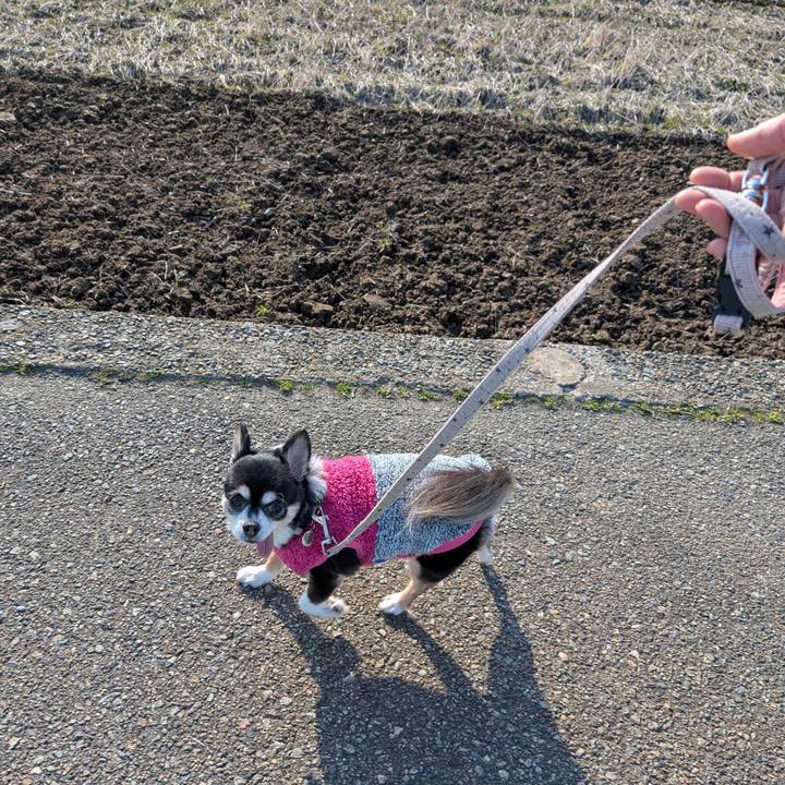 527b5dd1 2ad9 4519 bccd 126764414b99 1774091570449