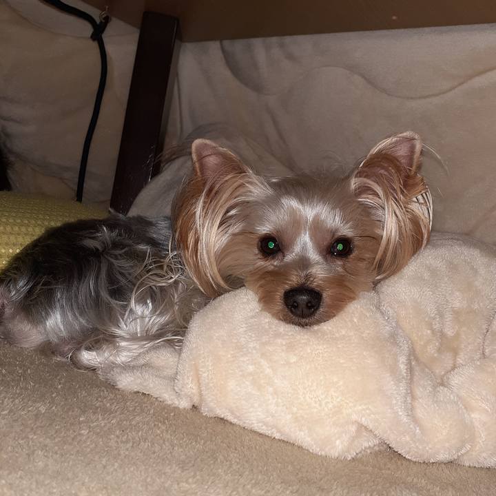 527b7903 3894 49c5 90b4 4eaacfa0bdee 1576492543949