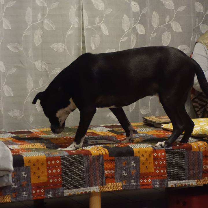 527b9a77 1ee5 4bbd b5c6 8adad2393ebd 1703933997924