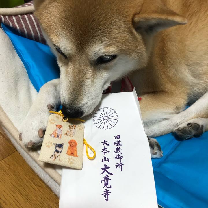 527ba7da 4501 46ff aa05 273c4e801945 1600648590934