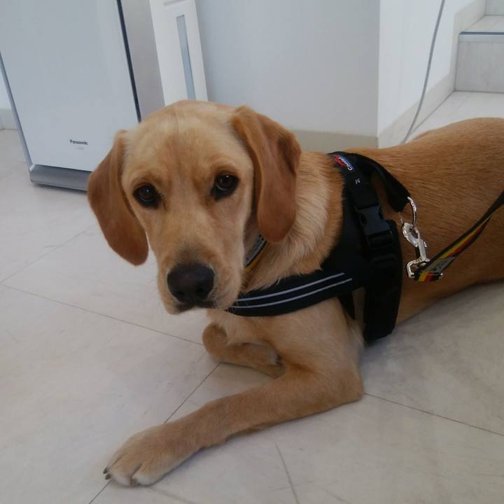 527bb4f1 40ac 4843 87c2 f314864cc7a1 1510202981741