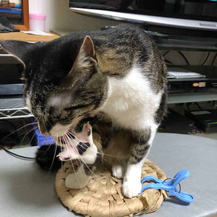 527bd2e3 02d5 43d5 9237 dc9400d69c3c 1527795975520