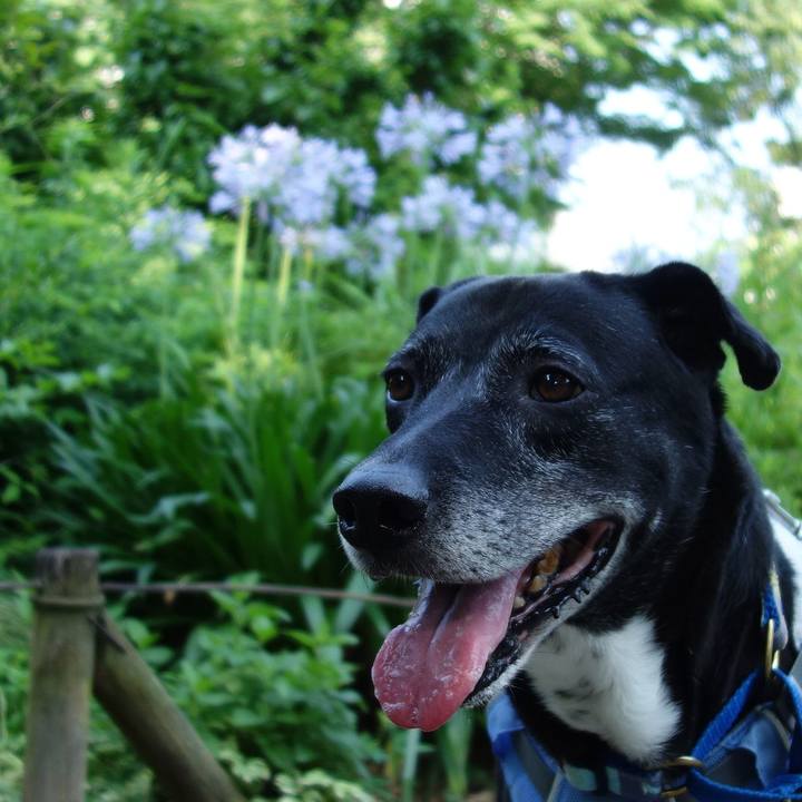 527bfa14 5246 4981 8b6f bd1f86fe4bef 1751329126151