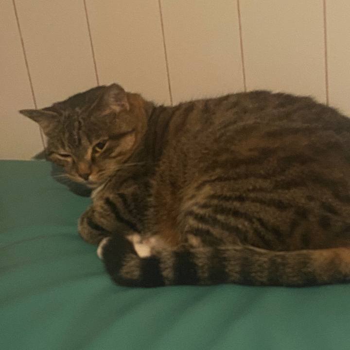 527c27bb f8b4 4411 8e60 2e5f7d21742b 1589588585595