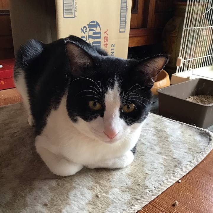 527c3089 38d5 455b a7e4 ba0c25c8a20a 1648024834190