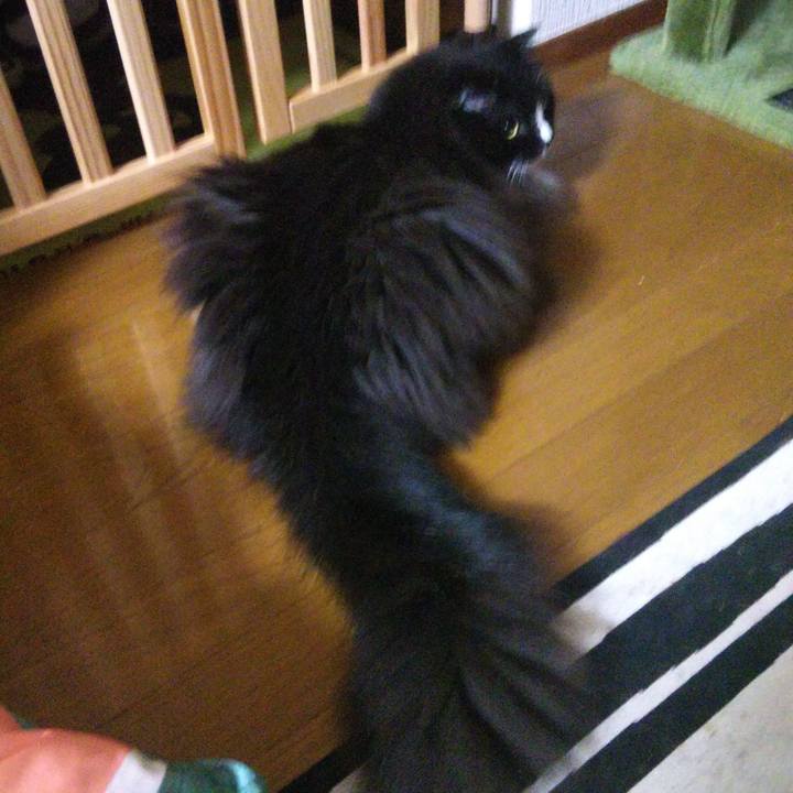 527c980e c700 4cb6 83d2 956345ca0a6c 1661137891795