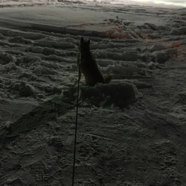 527cae95 1884 48ce a824 45383c56db30 1512570865782