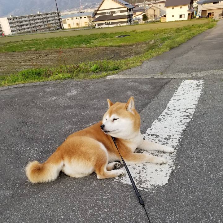 527cb920 96c9 4b7e 9b21 b30c2748e2aa 1588149304255