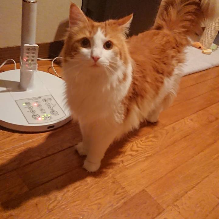 527ce616 db04 46ce 9329 e3b0e9490a4d 1531098295755