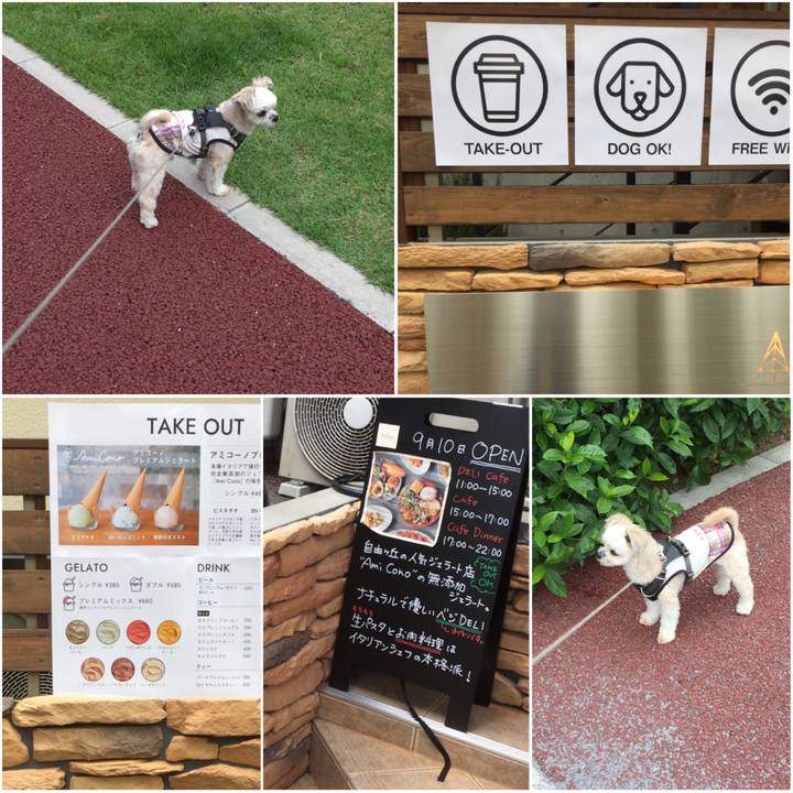 527cfc00 47d8 4b36 a143 9ac2c4ba2607 1569051441995