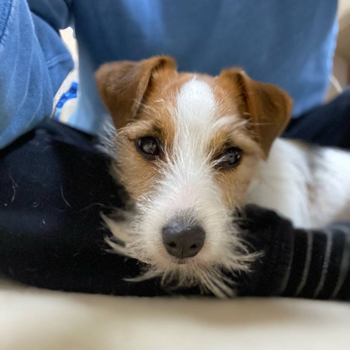 527d29a1 e651 4710 abd4 fc26ebc4c6ac 1680878177247