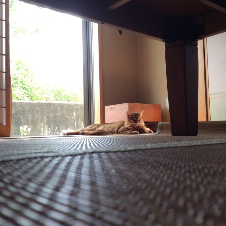 527d6d03 dca7 4a1a 908e 7edb08f7c3f6 1591680693666