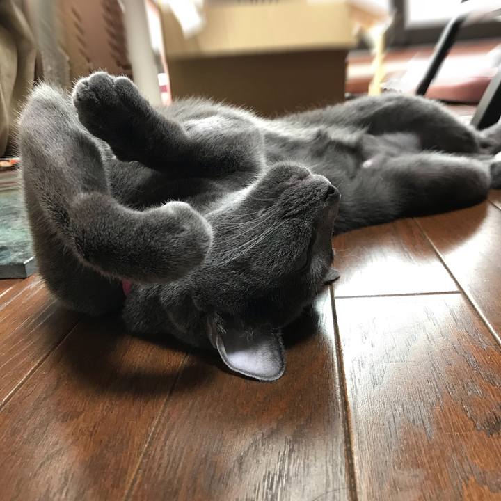 527d88da 8773 4c27 aa6c f88a48d24ecc 1530714084754