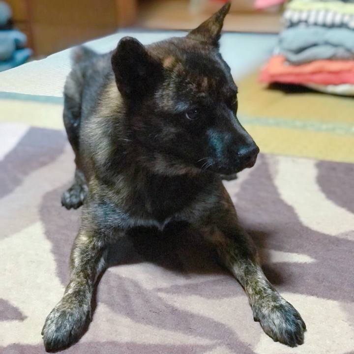 527d895e 499b 4fb1 9178 5f0f378db393 1509690347634