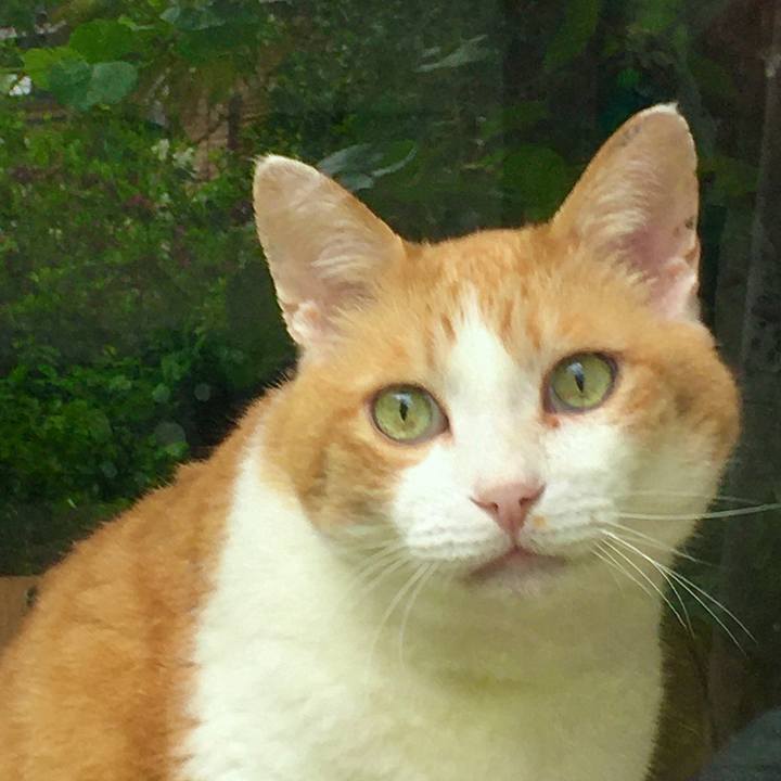 527d8efa 9180 48ed a08f eb03ef16bf4b 1623459273723