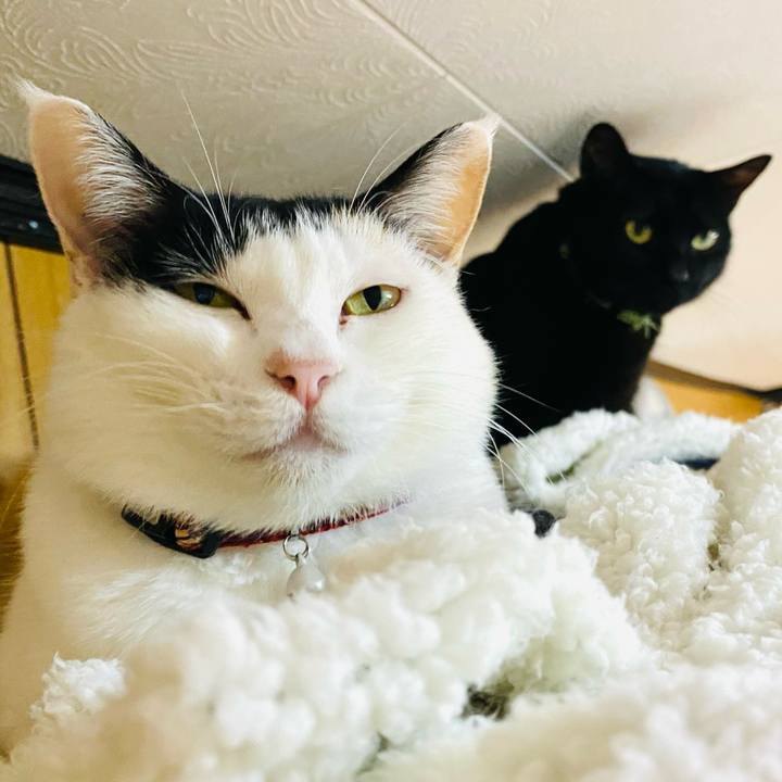 527dcf96 b131 41d5 9c5b 21962e56c442 1669818993499