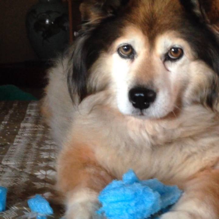 527dd174 e602 41c1 b3e9 6d28eaf3617d 1574220439464