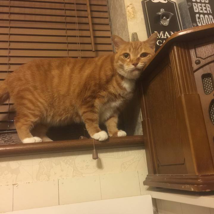 527e0e3e 68d5 4bad a60d 2d21fbd5d851 1556021606110