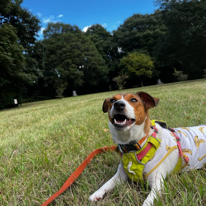 527e15ed fa31 470f a562 a4e80270b158 1729407201839