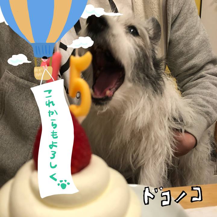 527e1fed d78e 4d8d 843b 05d51a59a4af 1685965613821