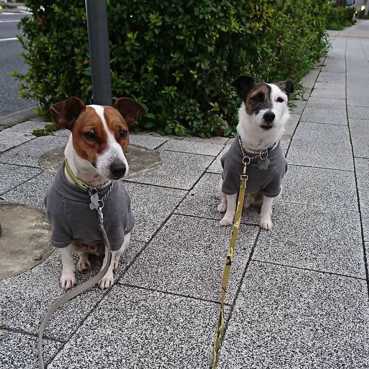 527e3755 dd24 431e 8639 f4bb2be57c13 1584134857252