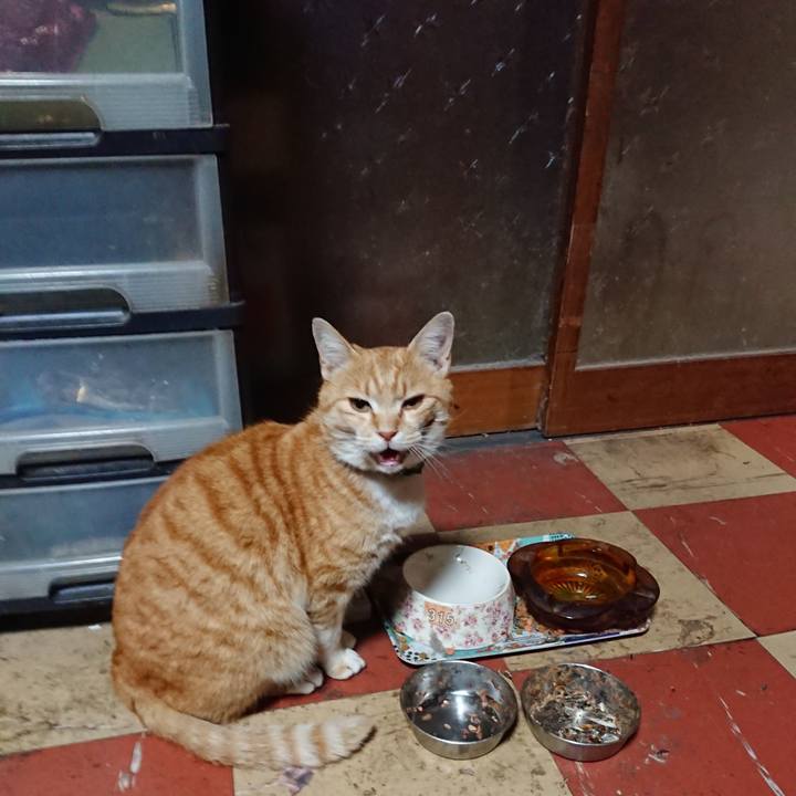 527e5330 332d 4cf4 8c63 b48ecce8dc9f 1586166573592