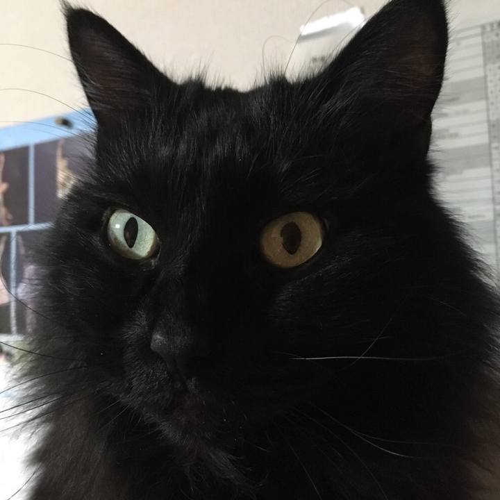 527e64e7 490c 41ec 91e8 3c9c64e71871 1545376340655