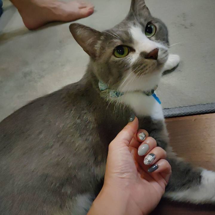 527e7cf0 af22 40f7 8343 fab9abbc1d0a 1695033440293