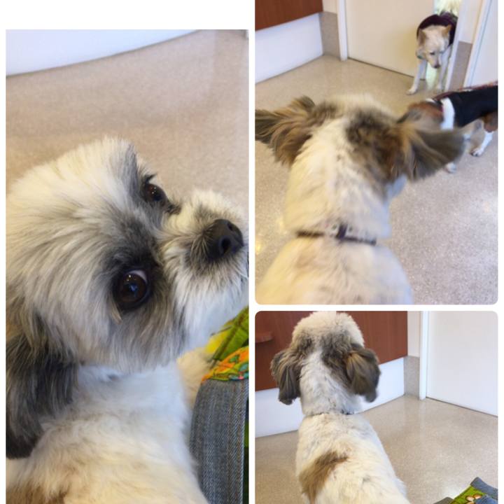 527ea7d3 0f35 44ea a563 58e471bd4099 1515483626345