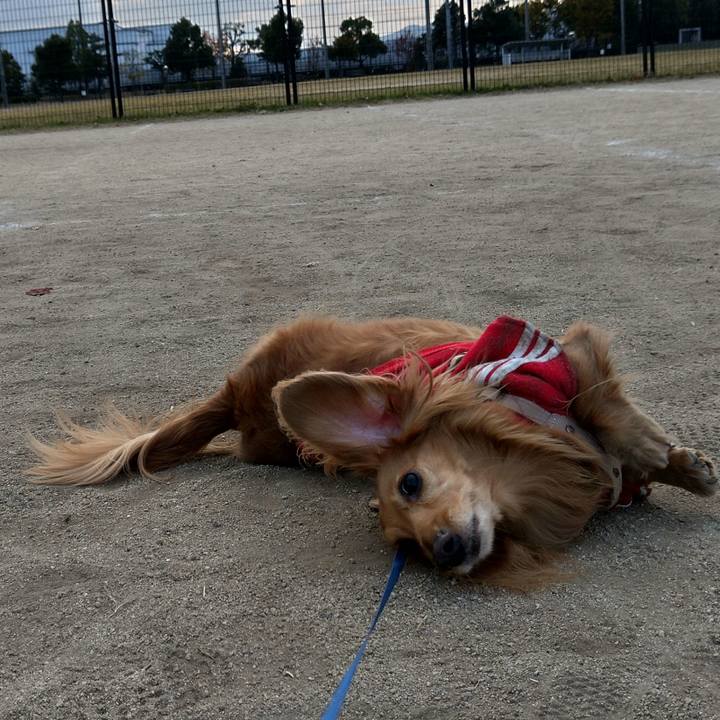 527f1403 9fc6 42f4 94c0 8a25d086c48d 1668594400554