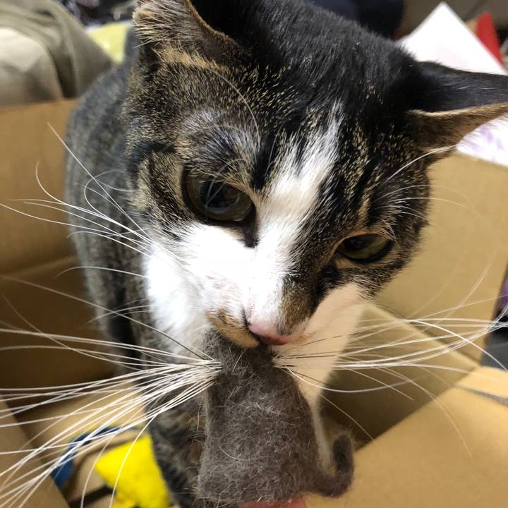 527f22ab 1c94 4c32 b4e2 d91c7dc10a71 1523679978445