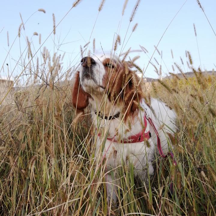 527f28d3 a3c0 43d0 90b2 f6a83e55c222 1604230443354