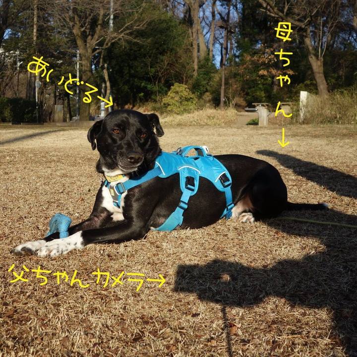 527f62ce acd6 4471 8496 1bee024d12ff 1613868506547