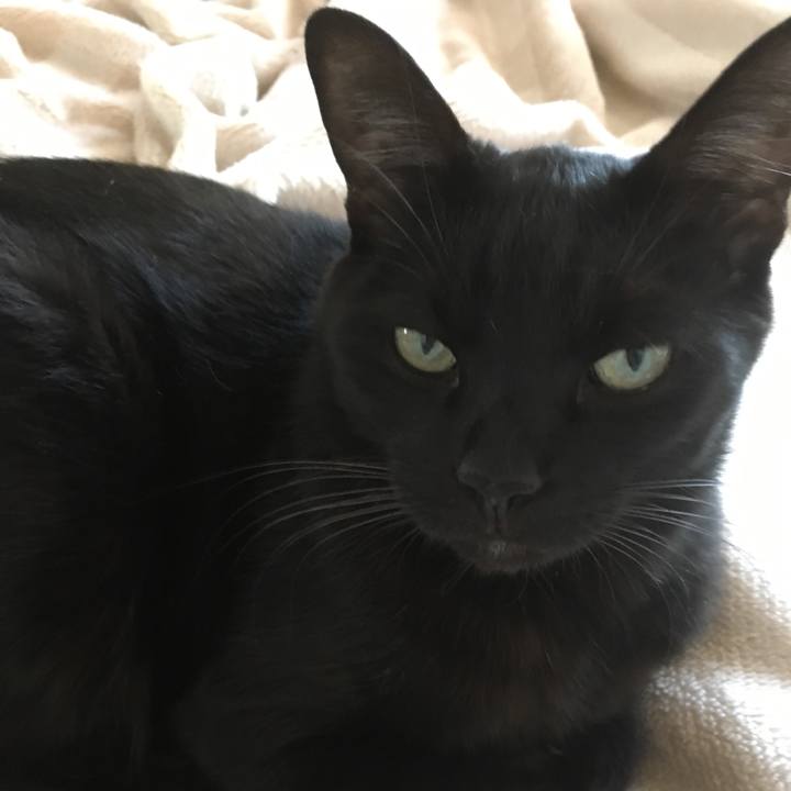 527f99d2 c58c 4b9e bcc6 37f27b60050d 1509665515282