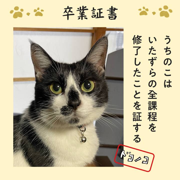 527fa6c7 f48c 402c 95d0 97f19eab539a 1771973487283