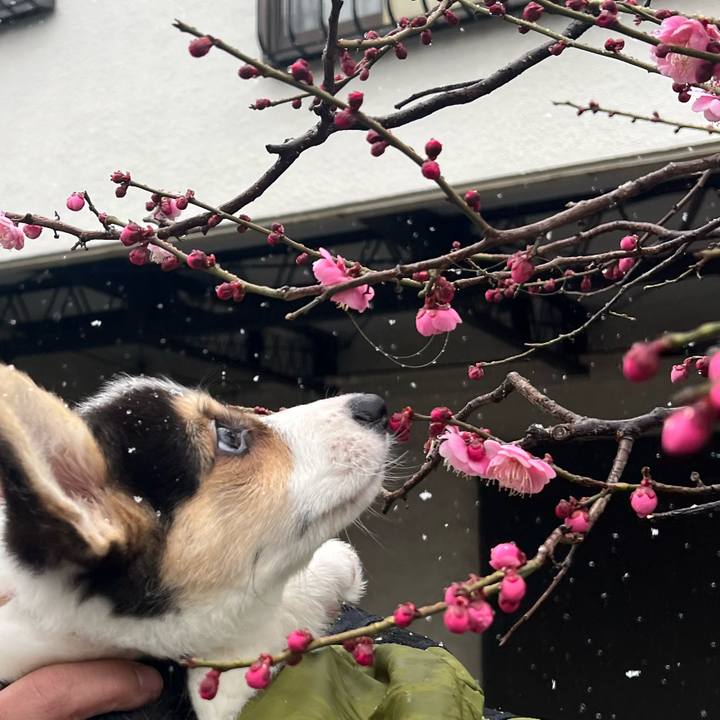 527fb88b e029 4d48 a34d 5cb26fa01b29 1770450269770