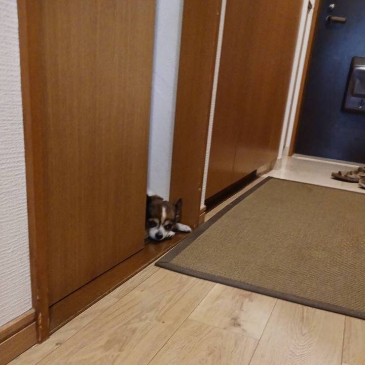 527fd29f 5a57 4768 b7e5 02e5e90d19a2 1723700618487