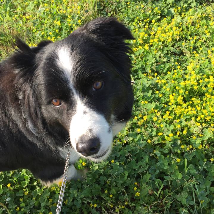 527fda6e ebcc 4f5c 87aa 44dd5034243d 1524007636735