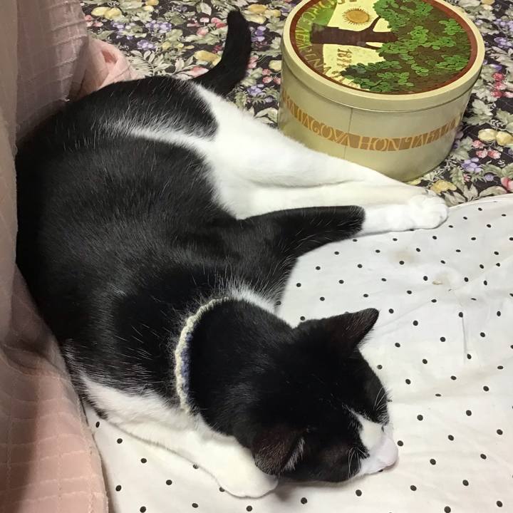 527ff398 fabe 458f bb9a 1affce9d0bae 1654673354808